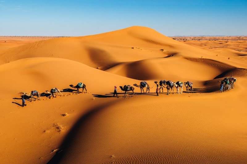 Desert safari Abu Dhabi