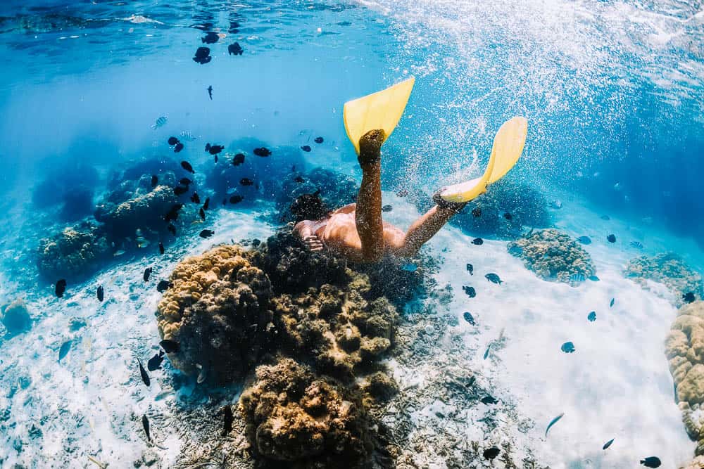Women free diving in Oahu