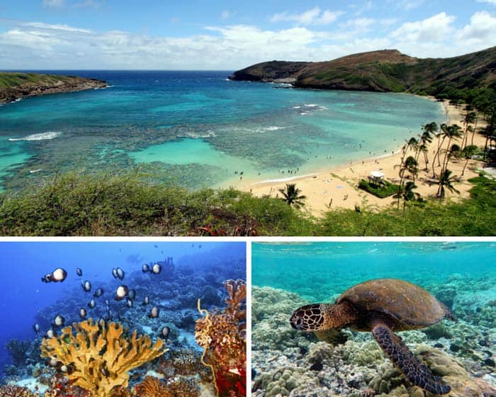 Snorkel at Hanauma Bay in Hawaii