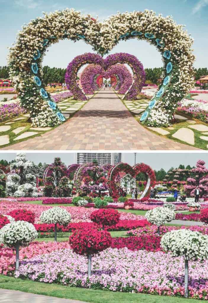 The Dubai Miracle Garden! See our list of the top 10 things to do in Dubai on Avenlylanetravel.com #avenlylanetravel #dubai