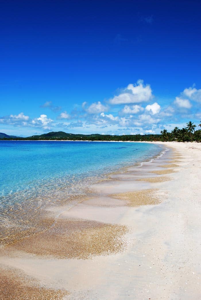 Vieques beach in Puerto Rico