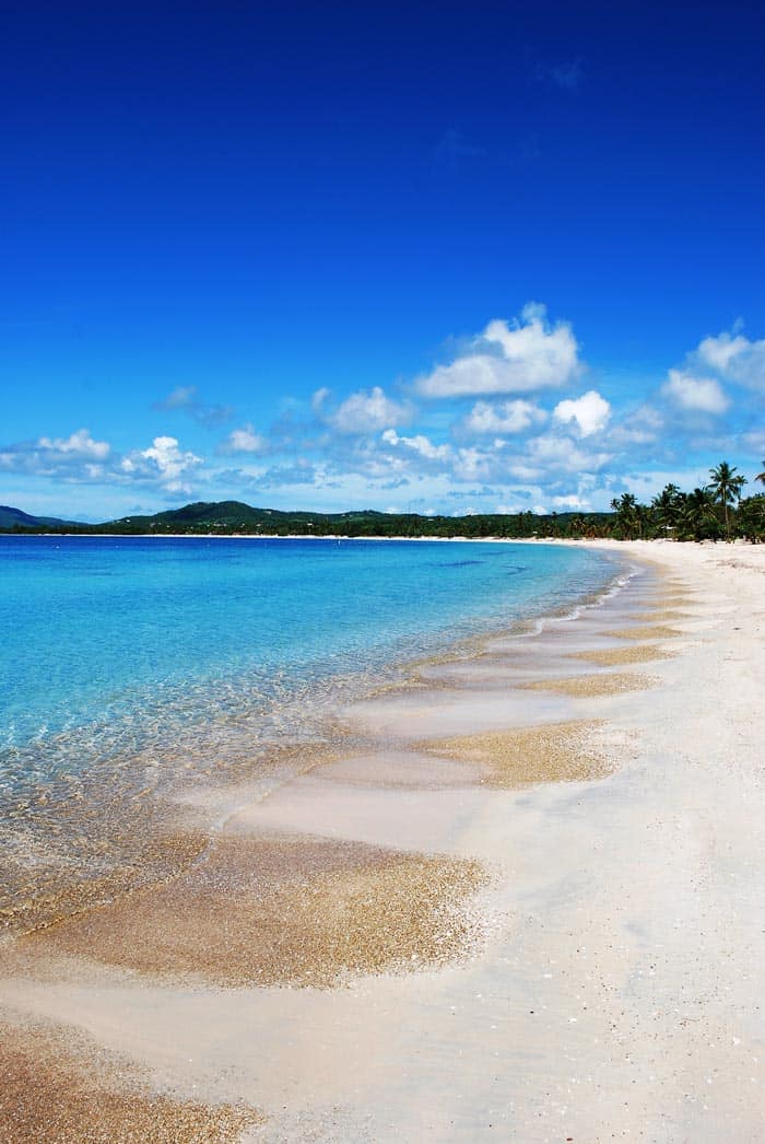 Vieques beach in Puerto Rico