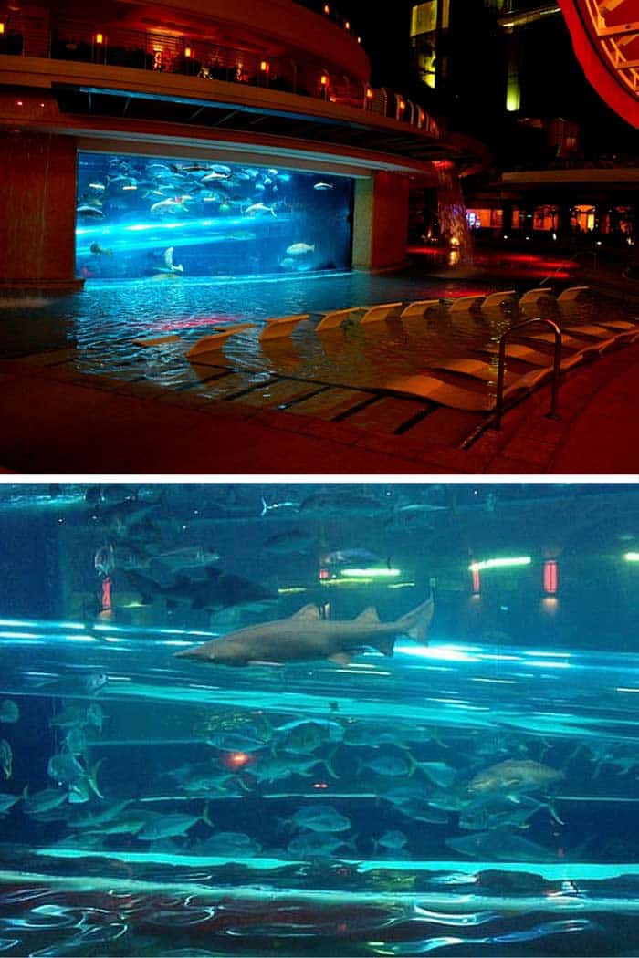 Golden Nugget Hotel and Casino – Las Vegas, NV. Have you ever wanted to go through a shark tank without getting your leg bit off? That is entirely possible at the Golden Nugget pool in downtown Las Vegas, which features a water-slide straight through a live shark tank.