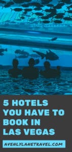 Shark Tank and water slide at The Golden Nugget Hotel in Las Vegas One of the best things to do in Las Vegas is hang out at the shark tank and water slide at The Golden Nugget Hotel! See 5 more amazing hotels you have to stay in Las Vegas! #vegas #lasvegas #travel #hotel #avenlylanetravel