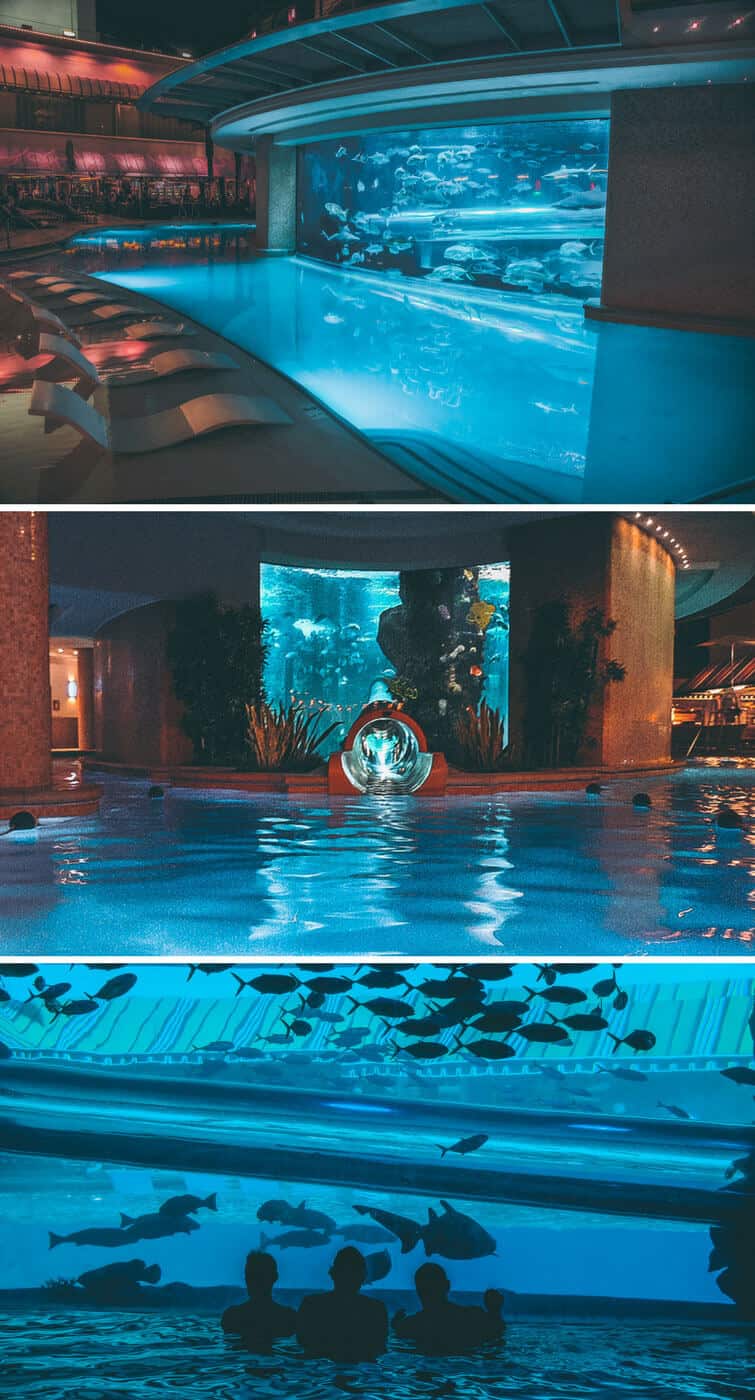 Shark tank and slide at the Golden Nugget Hotel and Casino
