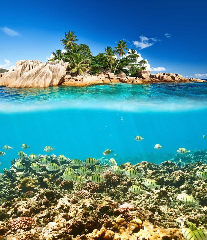 Snorkeling in the Seychelles. Seychelles travel guide. 