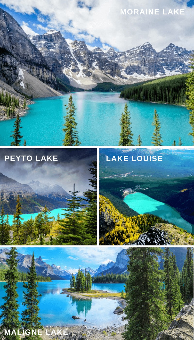 Turquoise Lakes in Alberta Canada