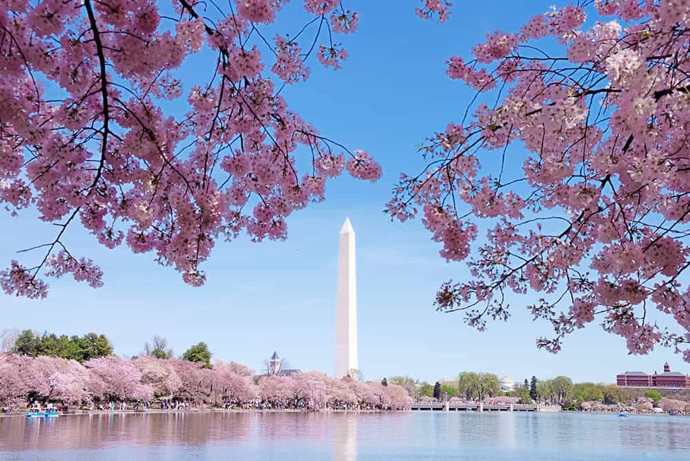 Tidal Basin