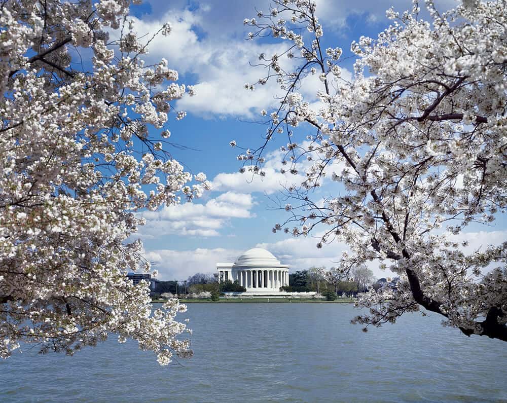 Jefferson Memorial In Washington DC