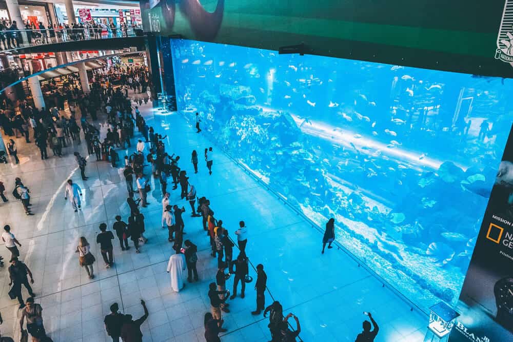 Dubai Mall fish tank