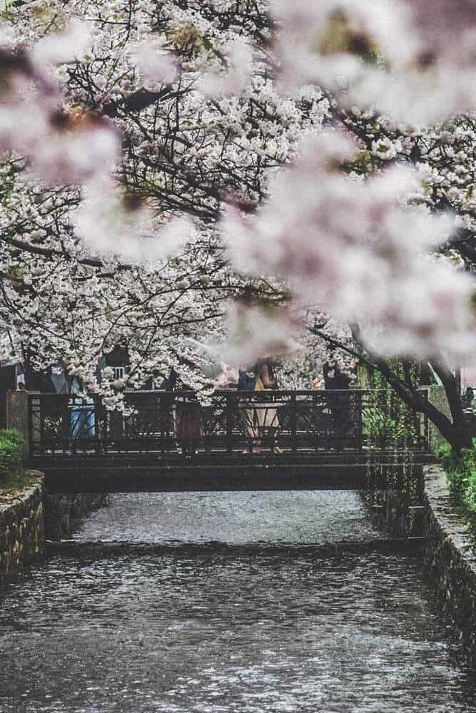 Maruyama Park