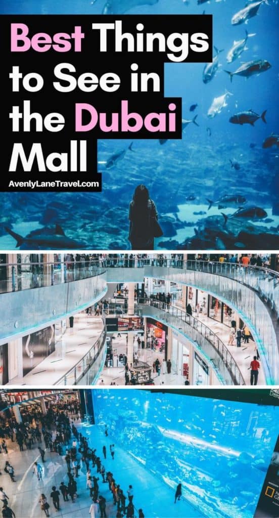 Dubai Tourist Attractions: The best things to see in the Dubai Mall! Avenlylanetravel.com #Dubai #travel Dubai Tourist Attractions: The best things to see in the Dubai Mall! Avenlylanetravel.com #Dubai #travel