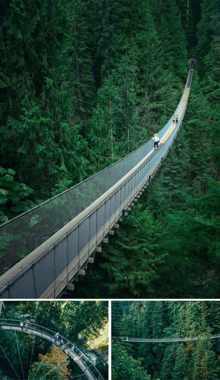 Capilano Suspension Bridge in Vancouver! Cool Things to Do in Vancouver, BC (Canada)