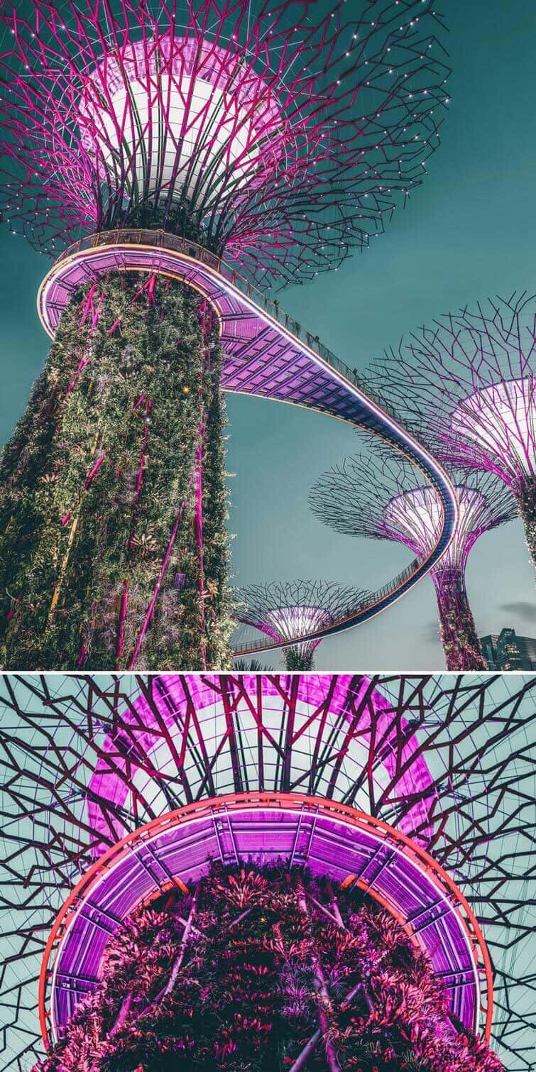 Gardens by the bay! Must visit places in Singapore! #singapore