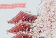 Avoya Travel - Best time to book a cruse