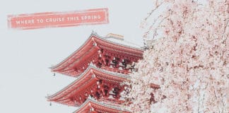 Avoya Travel - Best time to book a cruse