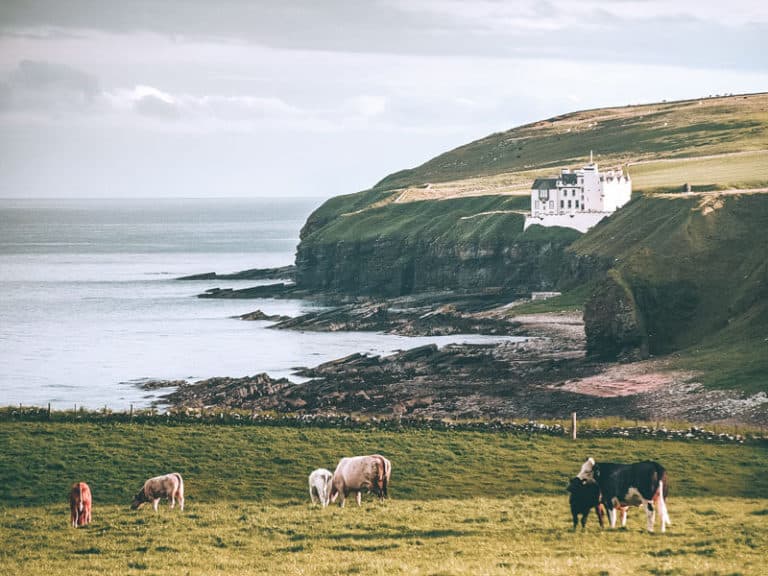 The 15 Best Castles in Scotland