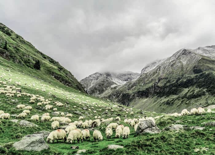 Incredible Scottish Highlands. Pictures of Scotland you will want to add to your Scotland road trip itinerary! Europe Bucket List - #avenlylanetravel #scotland #travel #scottishhighlands #unitedkingdom #hiking #adventuretravel #adventure #river #outdoors #travelitinerary #roadtrip #scottish 