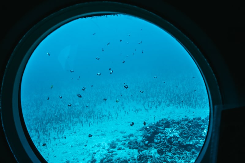 View From Inside Submerged Submarine Maui Hawaii