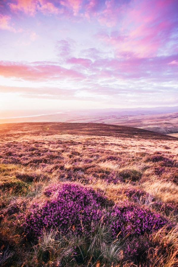 Pentland Hills in Scotland! Pictures of Scotland you will want to add to your Scotland road trip itinerary! Europe Bucket List - #avenlylanetravel #scotland #travel #scottishhighlands #unitedkingdom #hiking #adventuretravel #adventure #river #outdoors #travelitinerary #roadtrip #scottish - Read the full article at www.avenlylane.com 