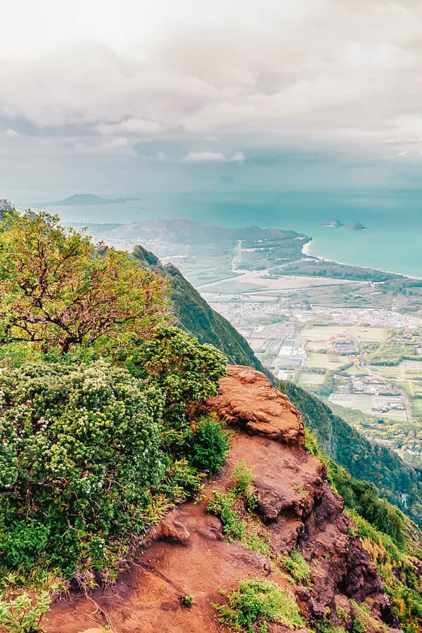 Hike Kuliouou Ridge Trail 