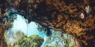 Cenote Ik Kil is so close to Chichen Itza that it is known as the Chichen Itza Cenote. This picturesque cenote is huge and features cenote diving. #cenotes #mexico #chichenitza #traveldestinations #travelinspiration #avenlylane #avenlylanetravel #beautifulplaces