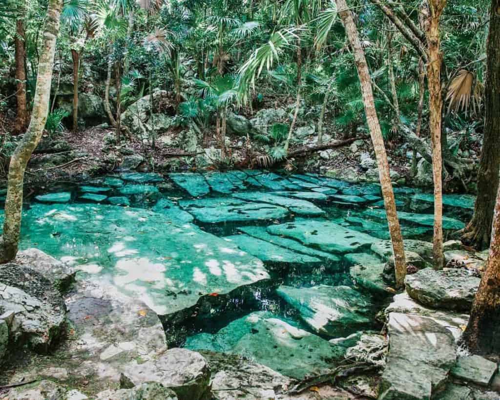 Cenotes Tulum. The 8 Best Cenotes near Tulum Mexico