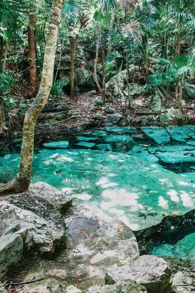 Cenote Azul - translation, Blue Cenote. This open air cenote is located right off the main highway, between Tulum and Playa del Carmen. 