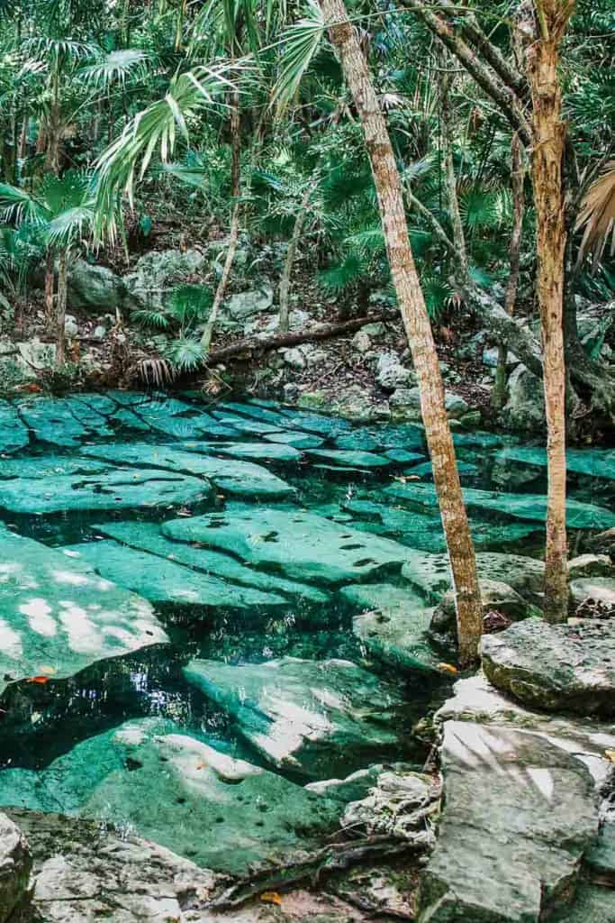 Cenote Azul. Cenotes Tulum Mexico!