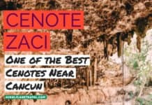 Cenote Zaci - One of the best cenotes in Mexico! #avenlylane #avenlylanetravel #cenotes #mexicotravel #beautifulplaces #travelinspiration #traveldestinations
