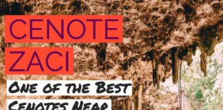 Cenote Zaci - One of the best cenotes in Mexico! #avenlylane #avenlylanetravel #cenotes #mexicotravel #beautifulplaces #travelinspiration #traveldestinations
