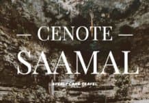 Cenote Saamal in Mexico!