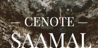Cenote Saamal in Mexico!
