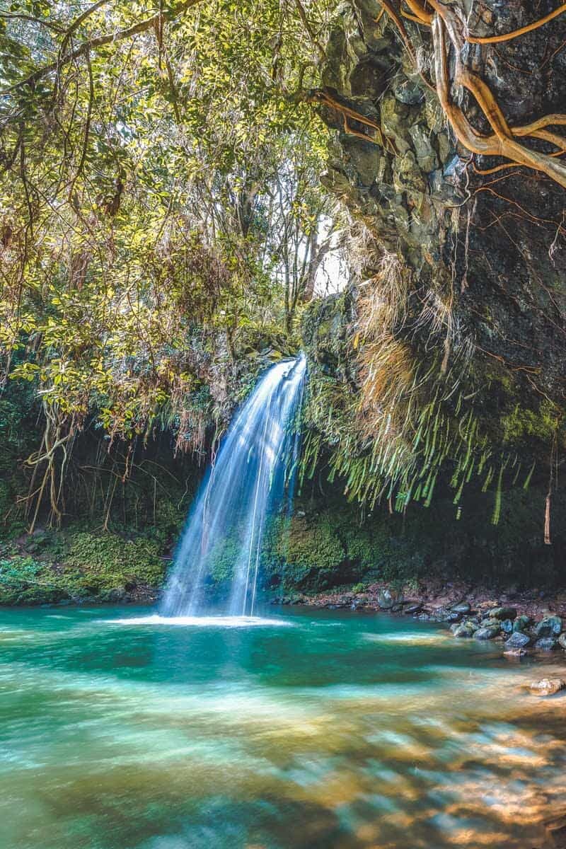 Twin Falls in Maui