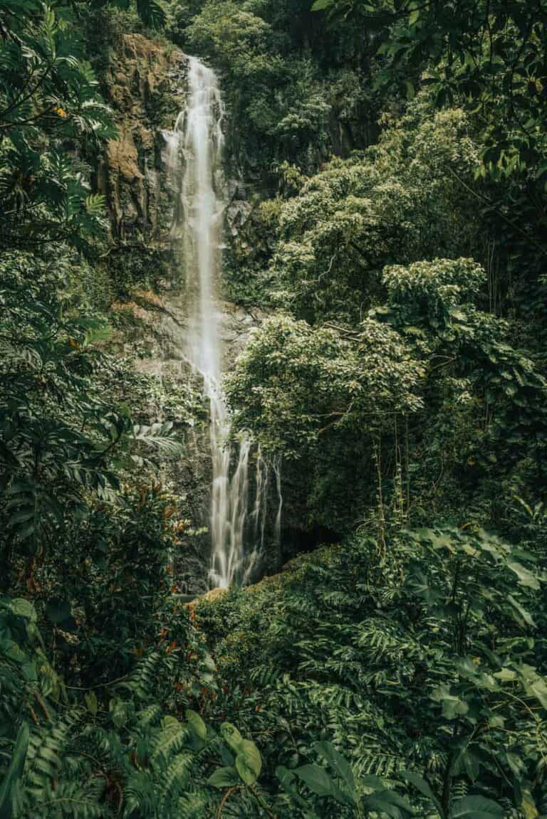 What To Expect On Each Of The Hawaiian Islands