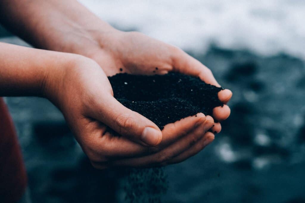 Punalu'u Black Sand Beach