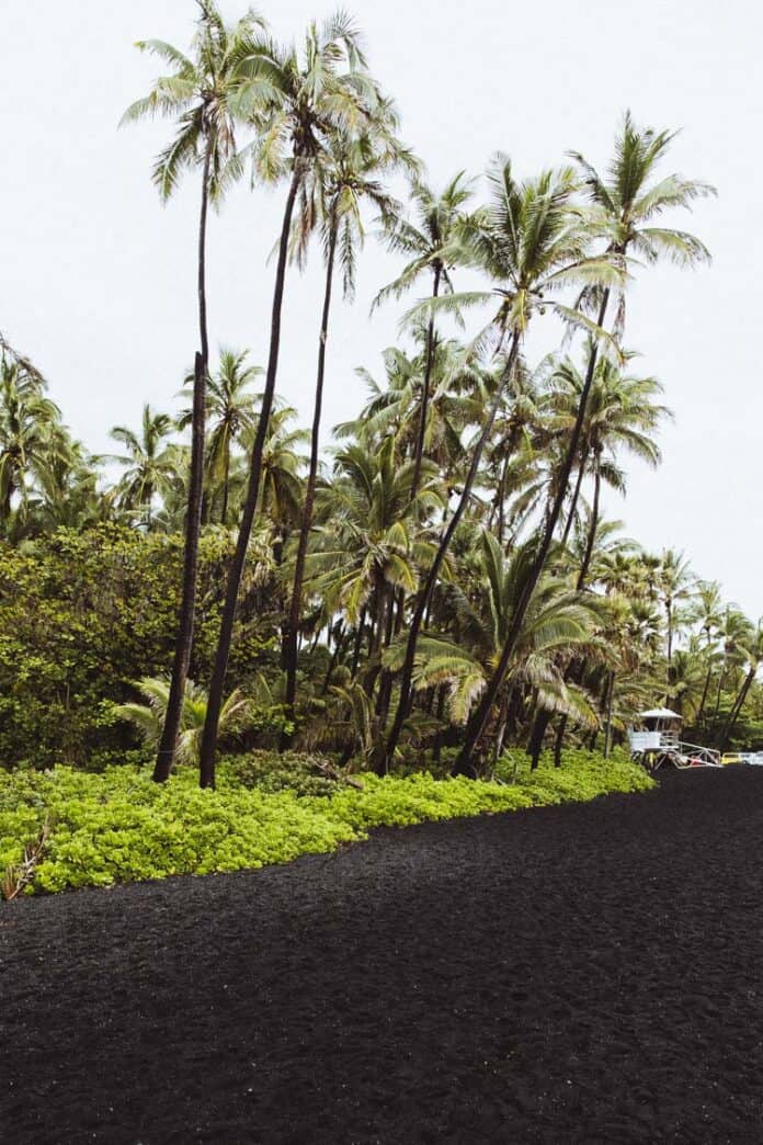 Punaluu Black Sand Beach, Hawaii