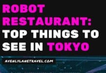 Robot Restaurant: Things to do in Shinjuku Tokyo! Want to see the famous Robot Restaurant in Shinjuku? Here is everything you need to know. #tokyo #Japan #travelinspiration #tokyofood #AVENLYLANE #AVENLYLANETRAVEL