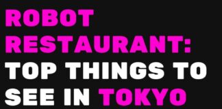 Robot Restaurant: Things to do in Shinjuku Tokyo! Want to see the famous Robot Restaurant in Shinjuku? Here is everything you need to know. #tokyo #Japan #travelinspiration #tokyofood #AVENLYLANE #AVENLYLANETRAVEL