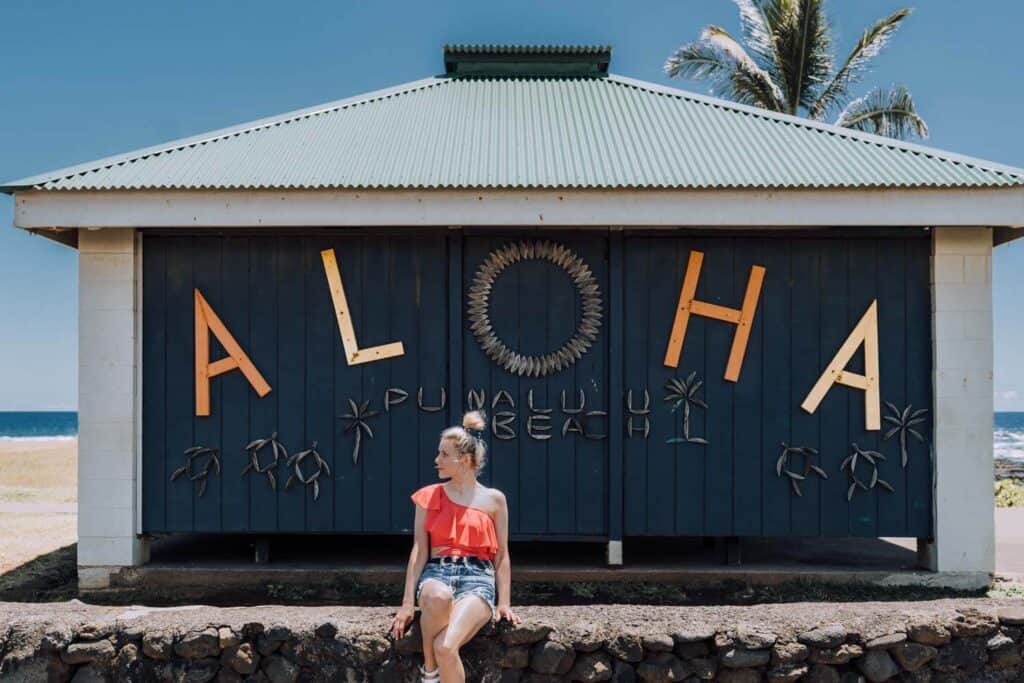 Punalu'u Black Sand Beach on the big island of Hawaii