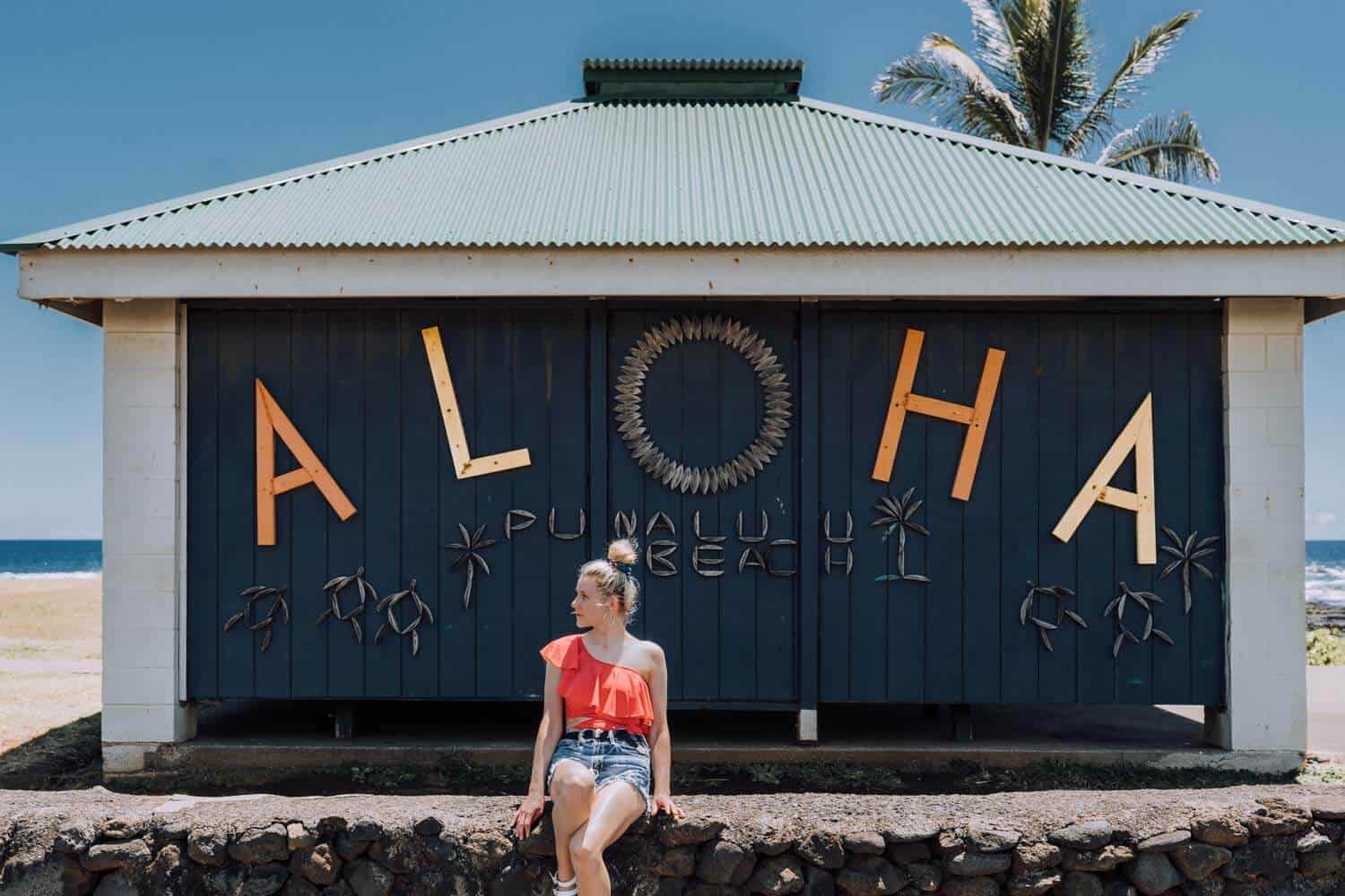 Punalu'u Black Sand Beach on the big island of Hawaii