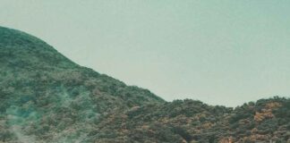 Jiufen hillside homes