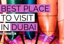 DUBAI GARDEN GLOW! AMAZING! Looking for the best place to visit in Dubai at night? Dubai Garden Glow couldn't be a more perfect way to end the night. Click through to find out more about one of our favorite places to visit in Dubai, UAE #AVENLYLANETRAVEL #AVENLYLANE #dubai #dubaitravel #travelinspiration #dubaigardenglow #dubaitourism #beautifulplaces #travelblog