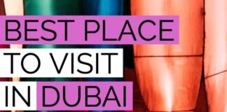 DUBAI GARDEN GLOW! AMAZING! Looking for the best place to visit in Dubai at night? Dubai Garden Glow couldn't be a more perfect way to end the night. Click through to find out more about one of our favorite places to visit in Dubai, UAE #AVENLYLANETRAVEL #AVENLYLANE #dubai #dubaitravel #travelinspiration #dubaigardenglow #dubaitourism #beautifulplaces #travelblog