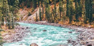 The Best Jasper Waterfalls: Sunwapta Falls