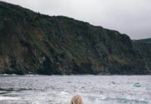 BEST BEACH IN THE AZORES ISLANDS! Mosteiros Beach is so underrated that we had the entire beach to ourselves. This black sand beach is one of the best places to see in the Azores! Don't miss it over at www.avenlylanetravel.com #AVENLYLANE #AVENLYLANETRAVEL #azores #beautifulplaces #travelguide