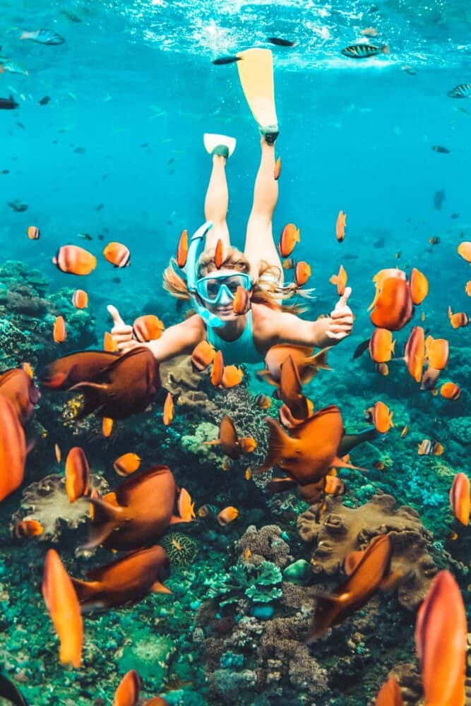 Snorkeling on the Big island of Hawaii