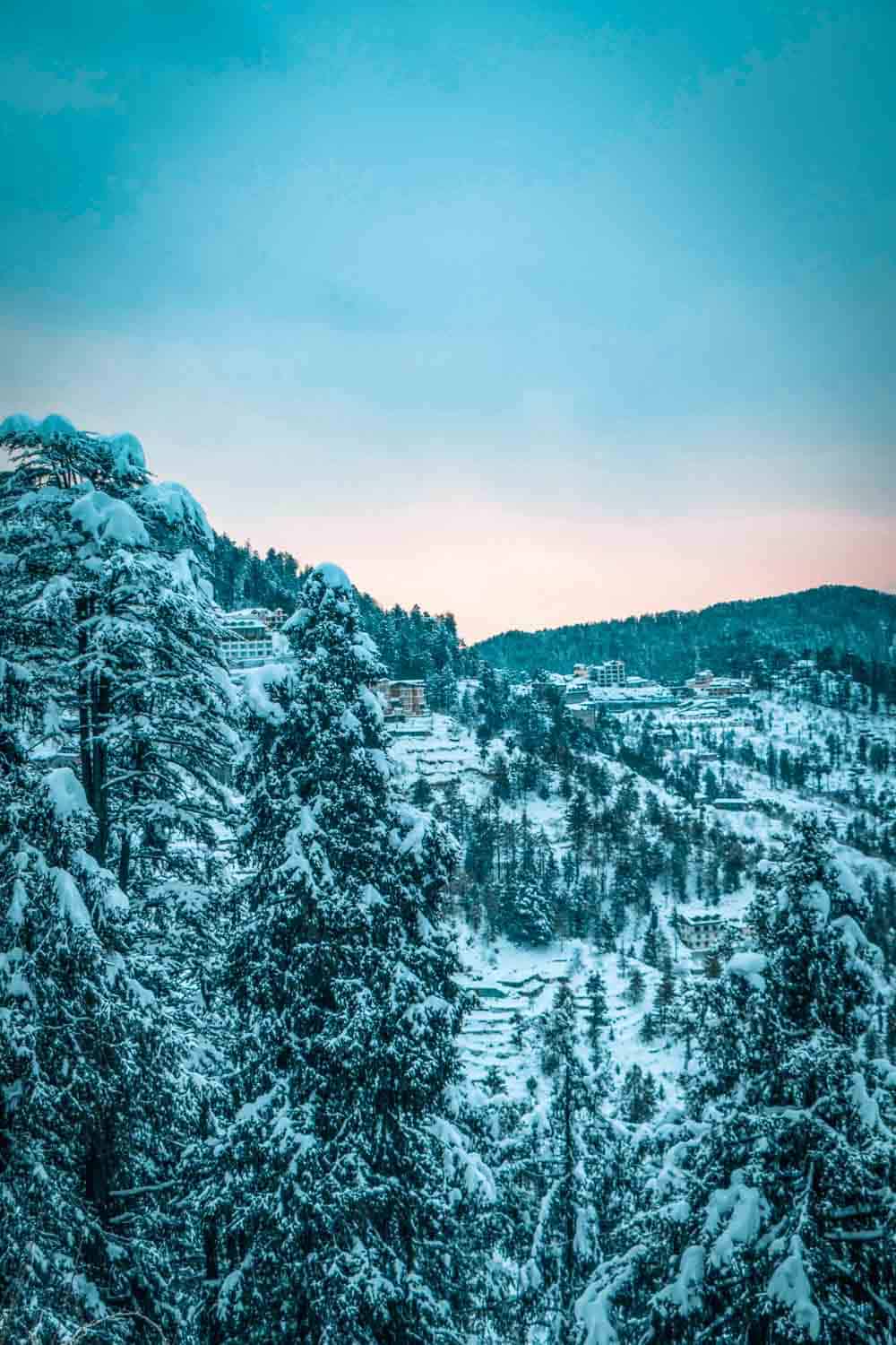 Snowfall in Shimla