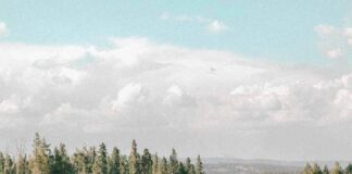 opal pool at Yellowstone national park