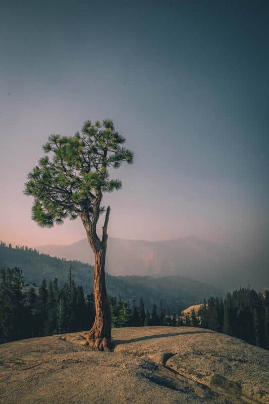 Olmsted Point, Yosemite National Park